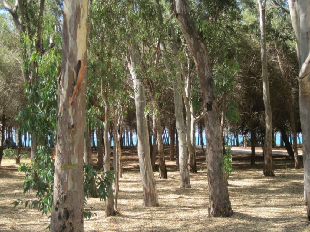 B&B Eraclea Minoa Mare المظهر الخارجي الصورة